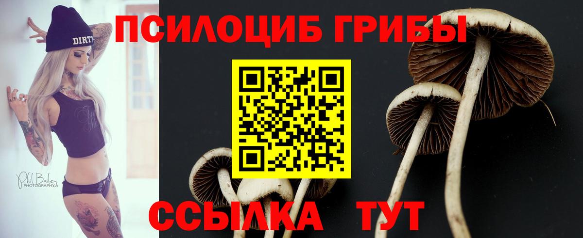 Галлюциногенные грибы GOLDEN TEACHER  Вход с VPN  Урай 